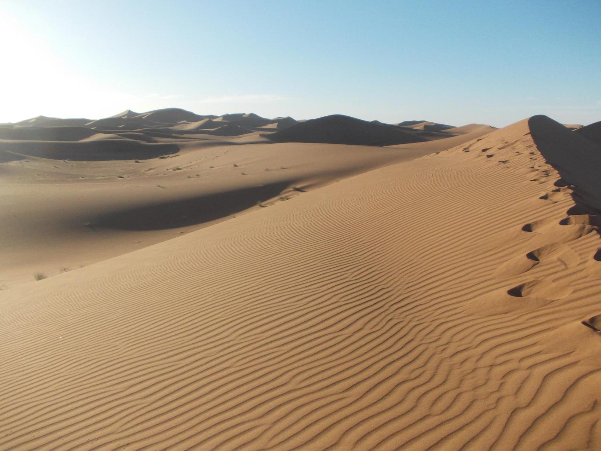 Bivouac Draa Hotell Zagora Eksteriør bilde