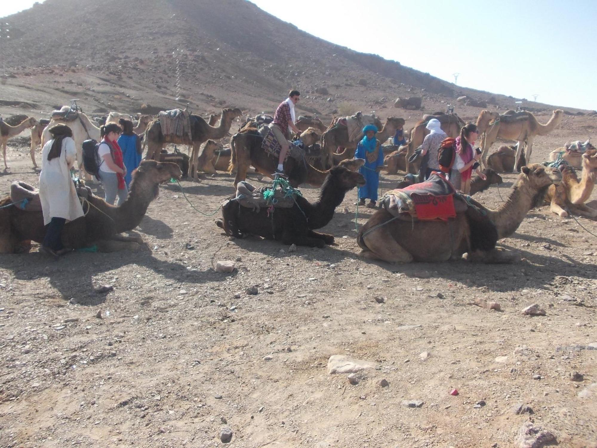 Bivouac Draa Hotell Zagora Eksteriør bilde